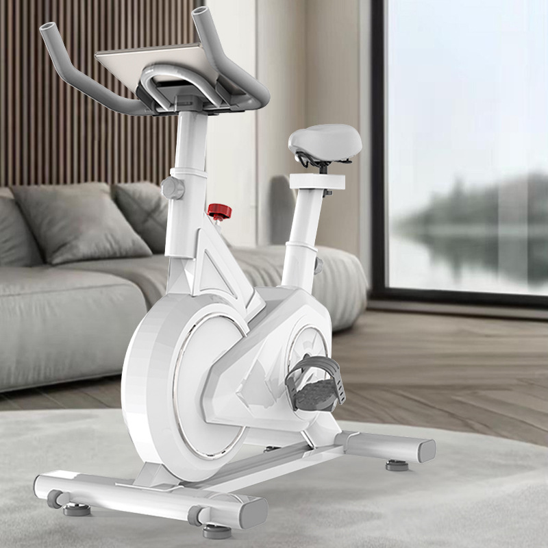 Sepeda Putar Cerdas Peralatan  - Exercise Bike Magnetic Resistance ulasan dan harga